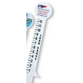 Full Color Snow Gauge